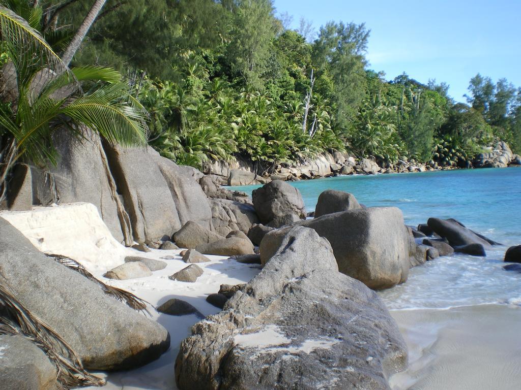 Seychelles Yellow Petals Anse Boileau Exterior photo