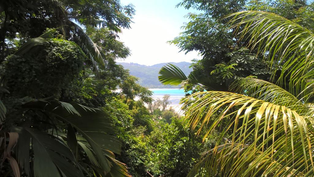 Seychelles Yellow Petals Anse Boileau Exterior photo